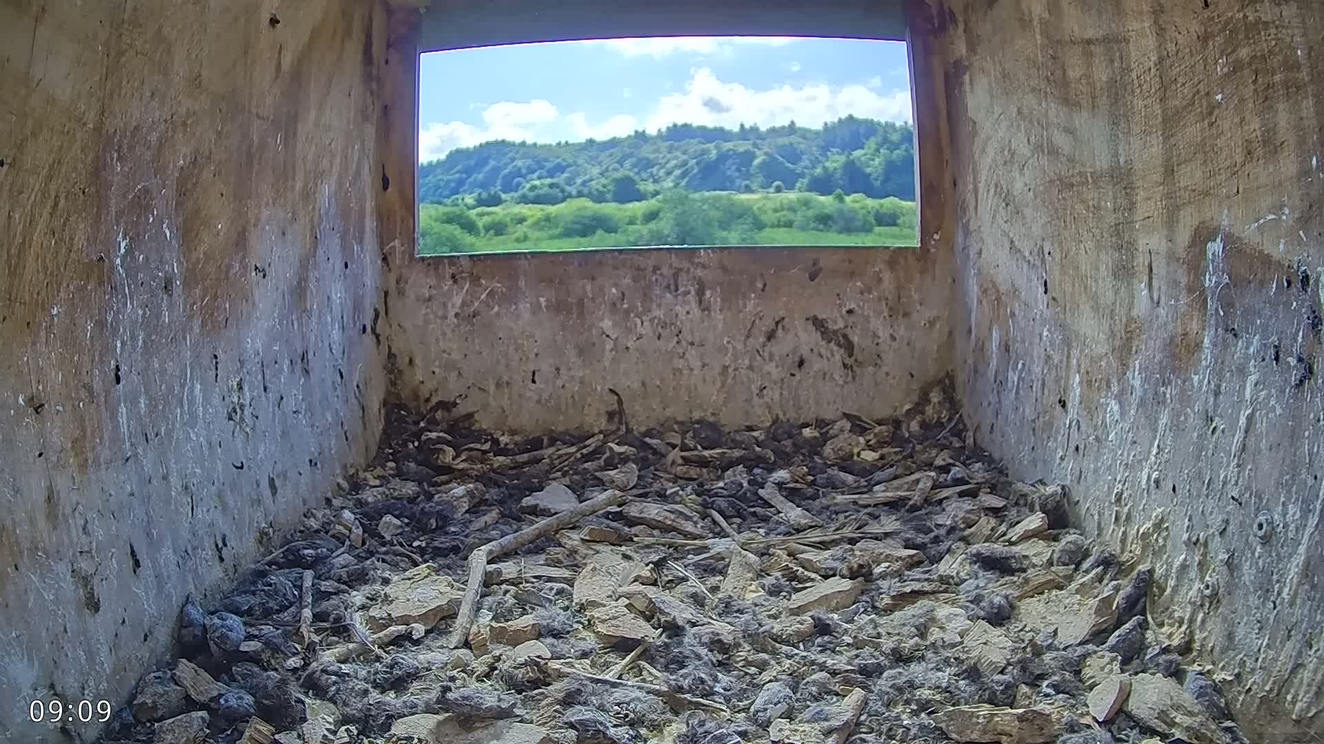 The interior of a birdhouse, littered with debris and nesting material, shows a sunny view of rolling green hills through a window.