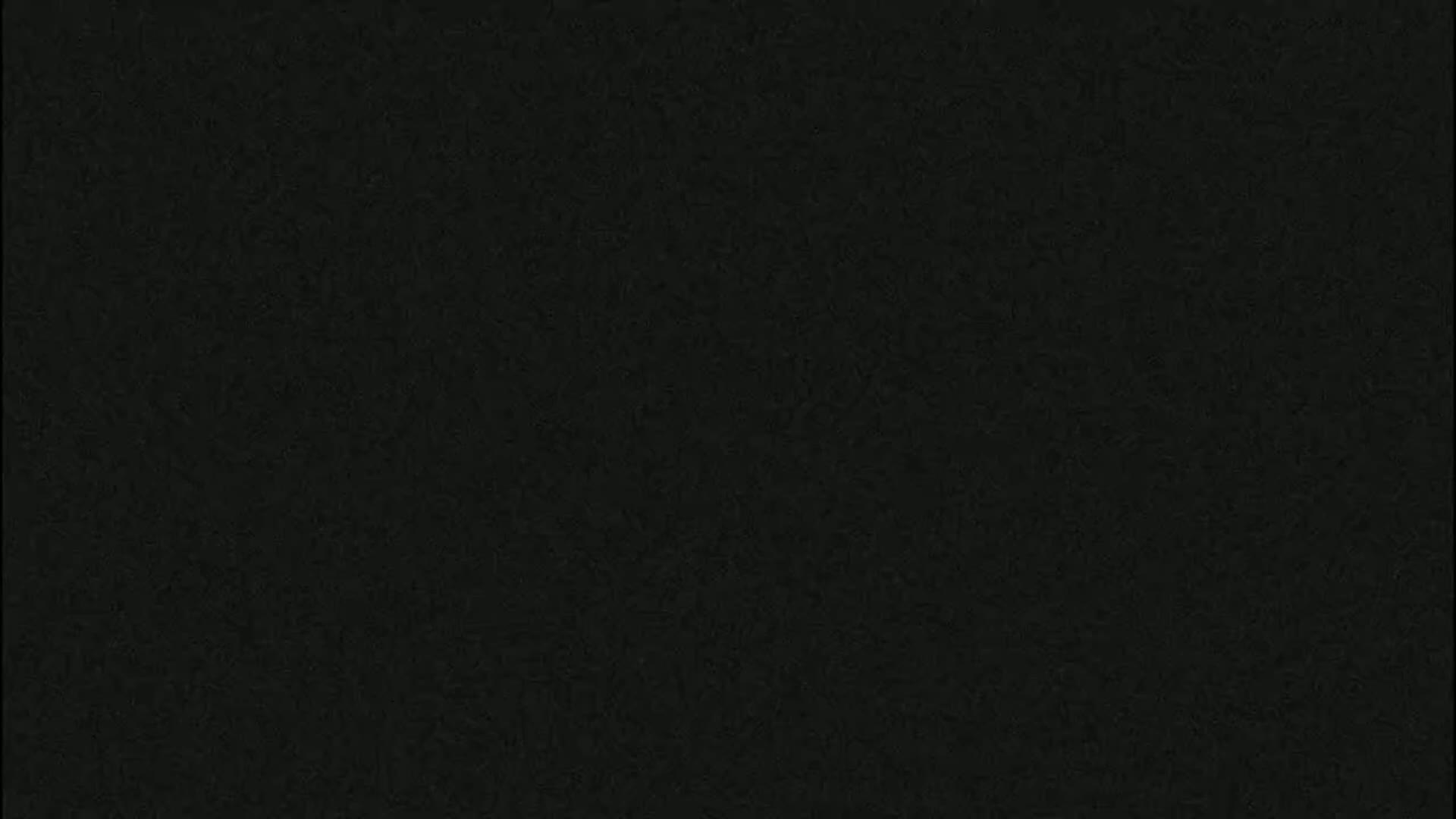Dronninglund, Birds and Squirrels in the Forest Live Cam - Dronninglund, Bronderslev, Nordjylland(North Denmark), Denmark