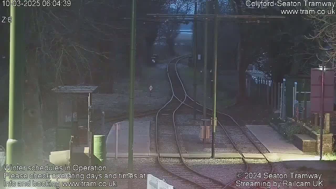 A dimly lit outdoor scene shows a railway track splitting into two, surrounded by trees and shrubs in the early morning.