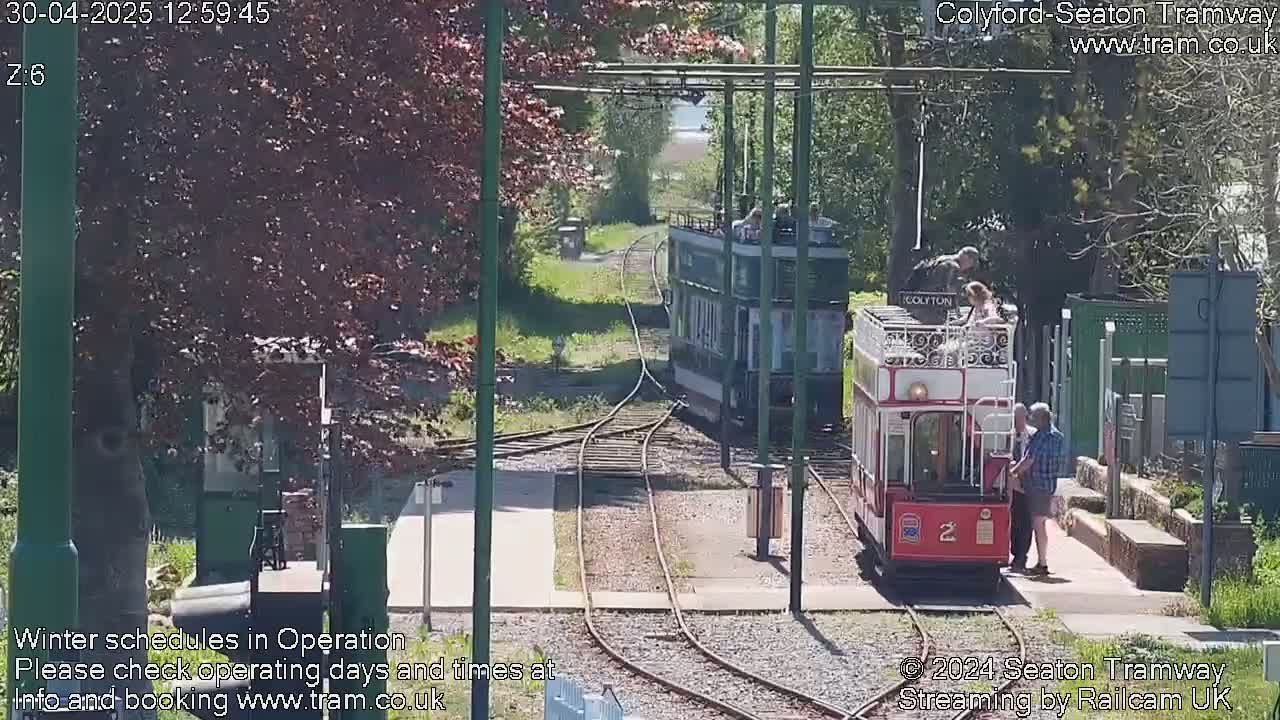Two vintage trams are on a sunny day on a railway track surrounded by greenery.