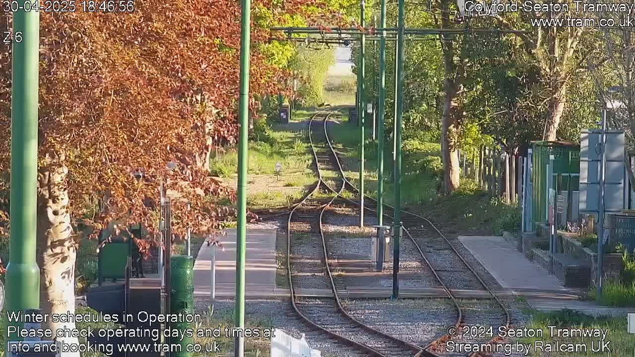 Train tracks diverge at a station surrounded by trees and greenery in sunny weather.