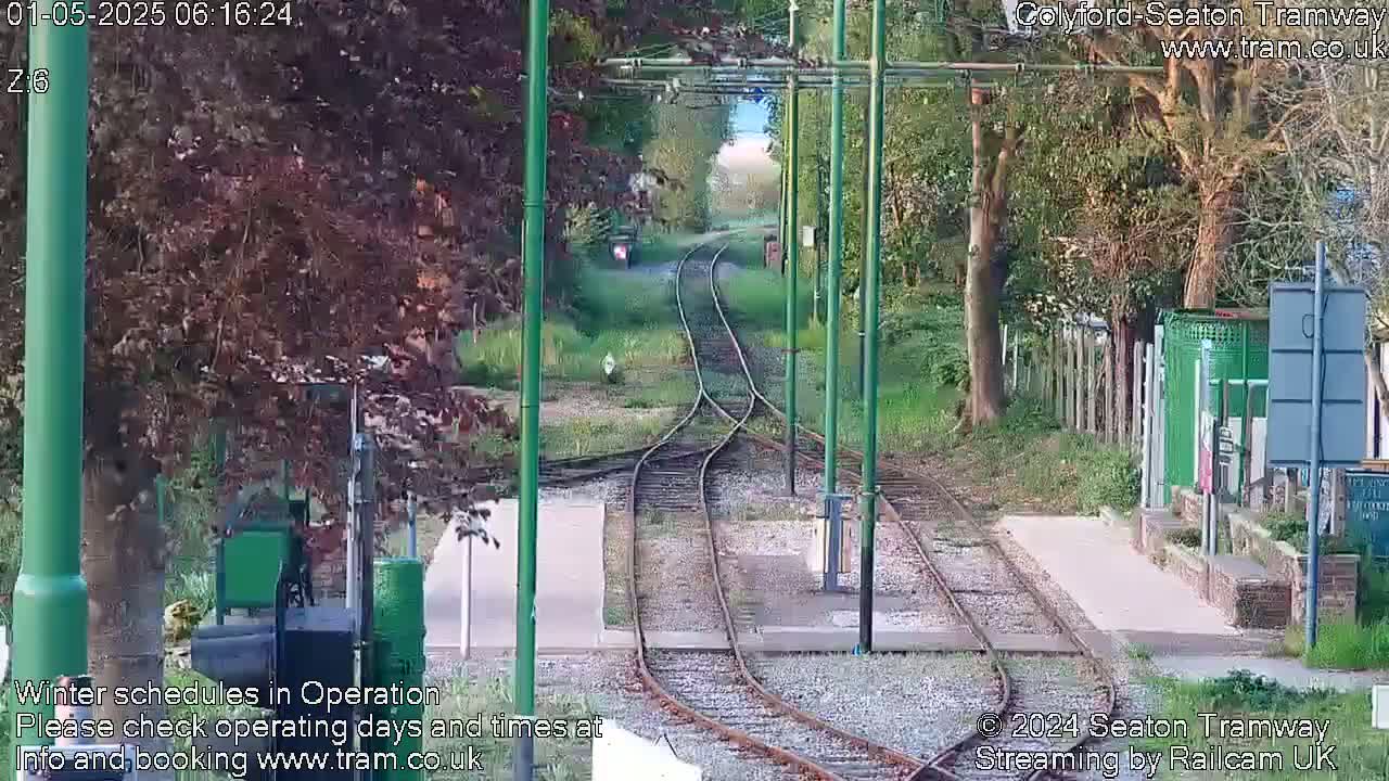 Tram tracks diverge through a tree-lined area on a partly sunny day.