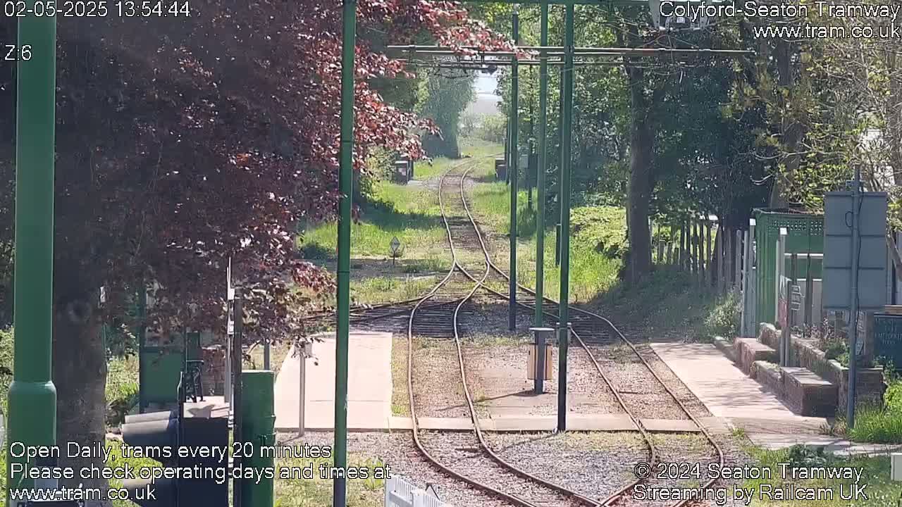 A sunny view of a railway track splitting into two, surrounded by lush green vegetation and trees.