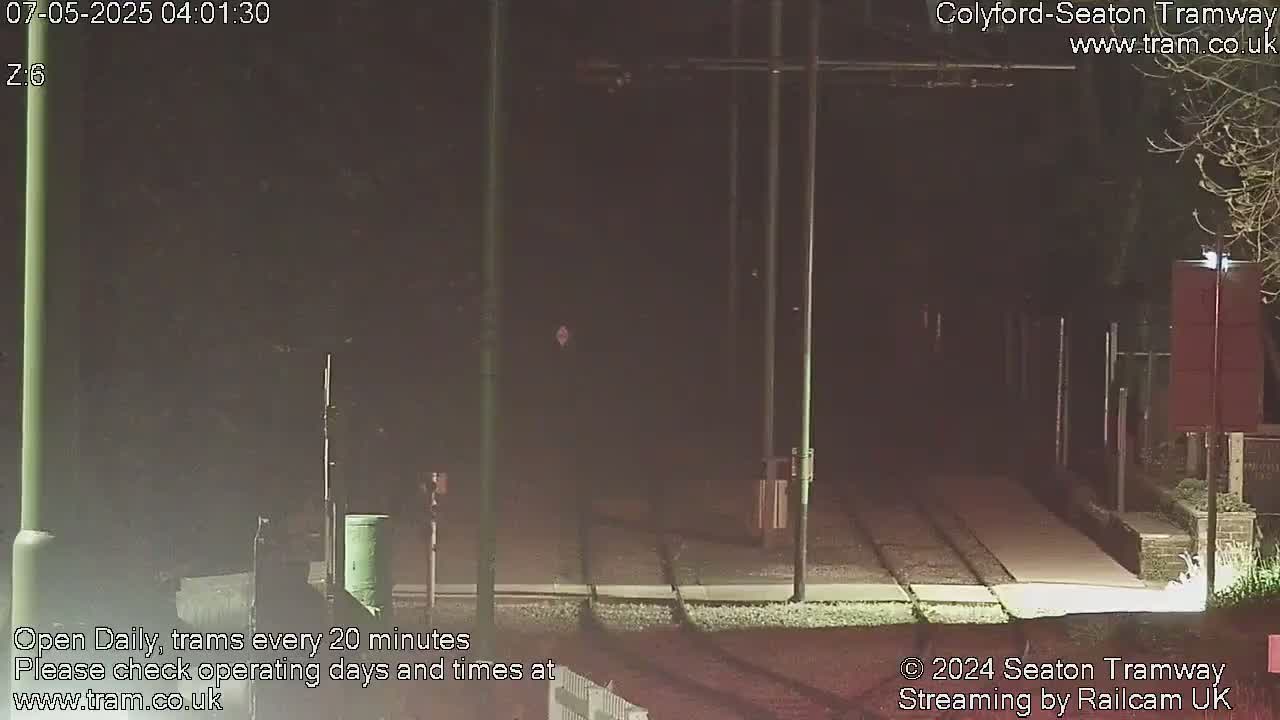 A nighttime view of empty tram tracks, surrounded by dark trees and dimly lit infrastructure.