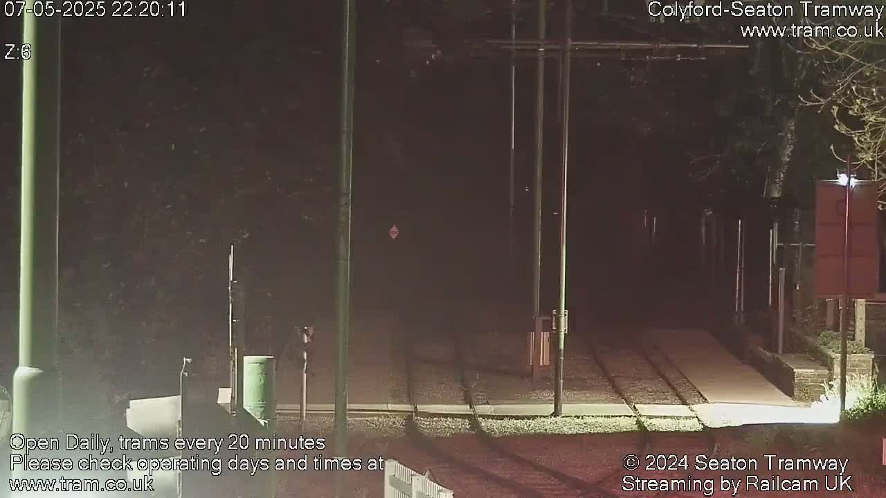 A nighttime view of empty tram tracks surrounded by dark vegetation.