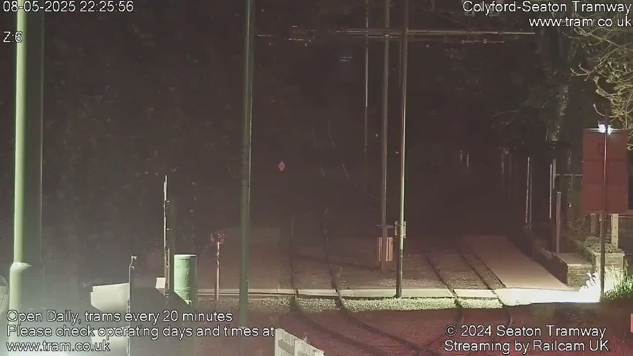 A nighttime view of a tram track, with dark trees and streetlights, showing an empty tram station.