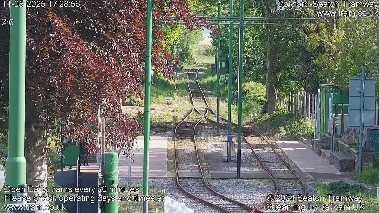 A sunny view of railway tracks splitting into two directions, surrounded by lush green vegetation and trees.