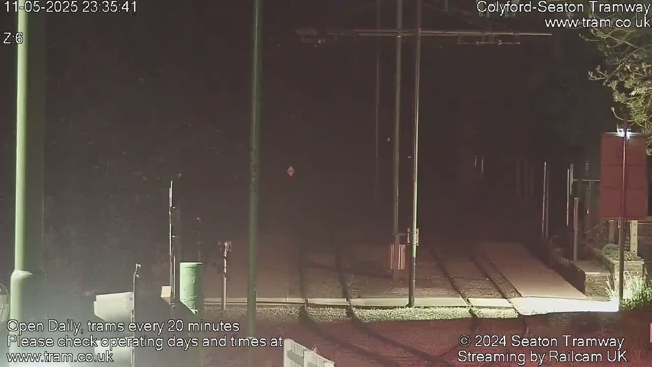 A nighttime view of empty tram tracks, illuminated by streetlights, with dark vegetation on either side.