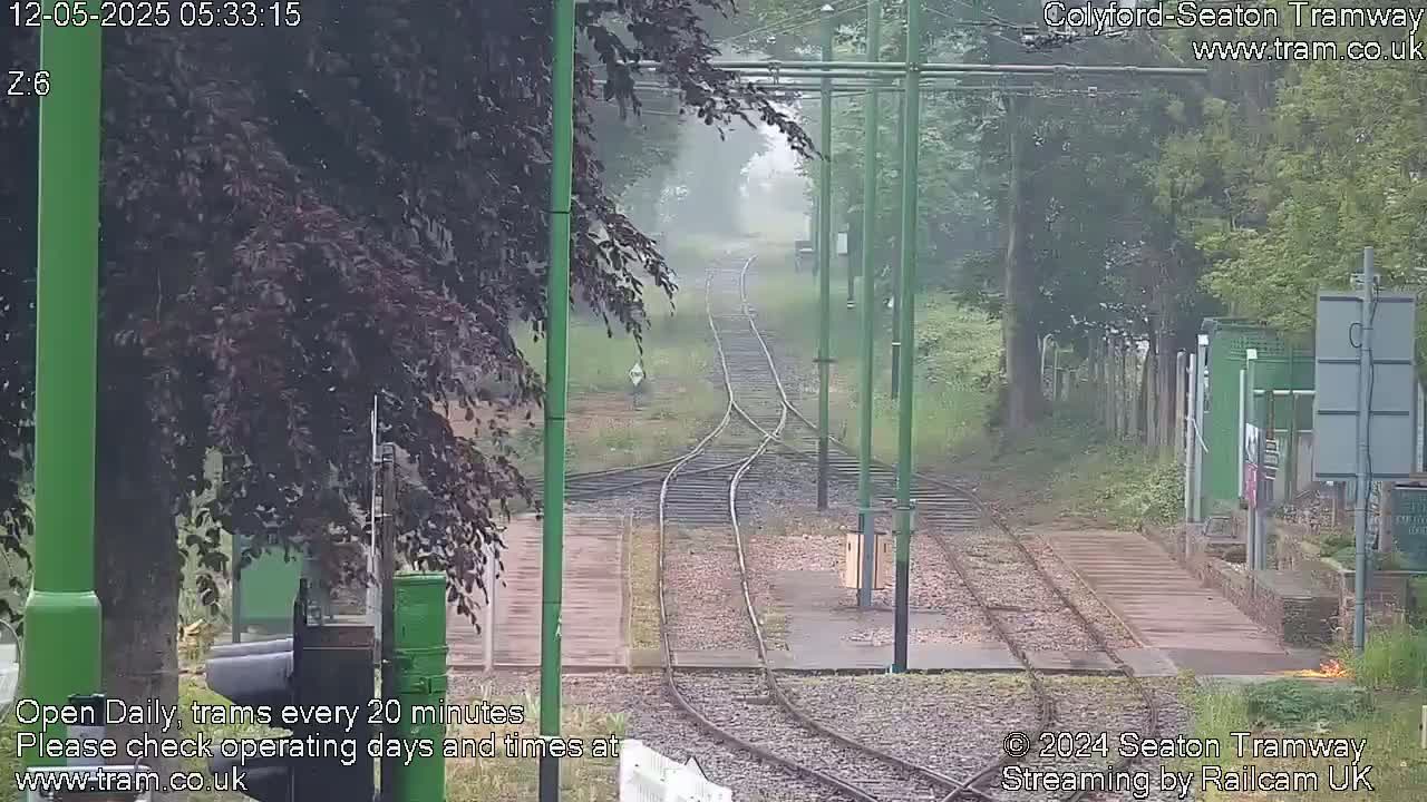 A misty view of train tracks splitting into two directions, surrounded by greenery.