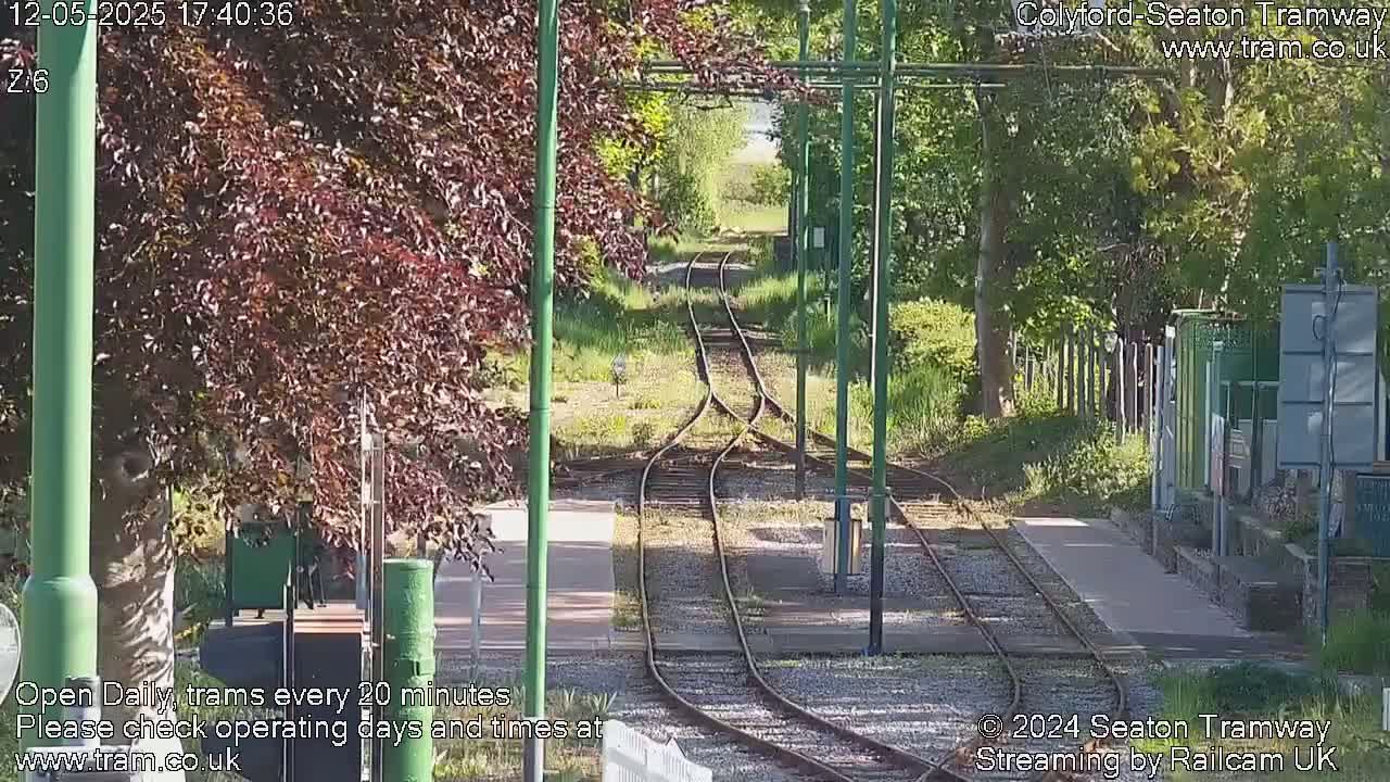 Train tracks diverge in a sunny outdoor setting, bordered by lush green trees and shrubs.