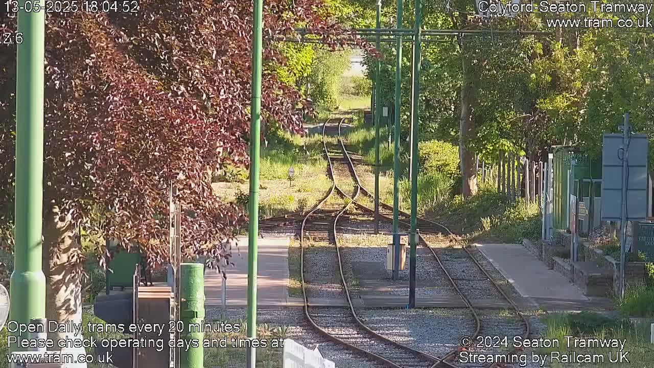 A sunny view of a tram track splitting into two paths, surrounded by lush green vegetation and trees.