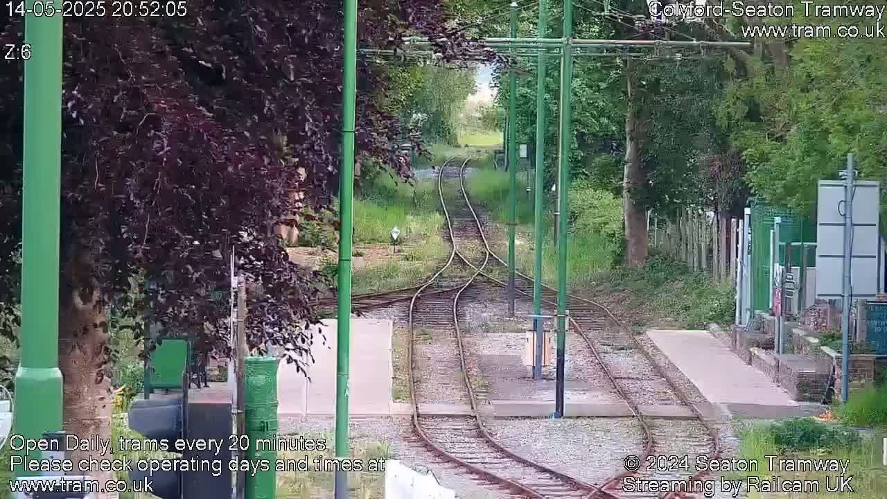 A set of train tracks curves through a tree-lined area in daylight.