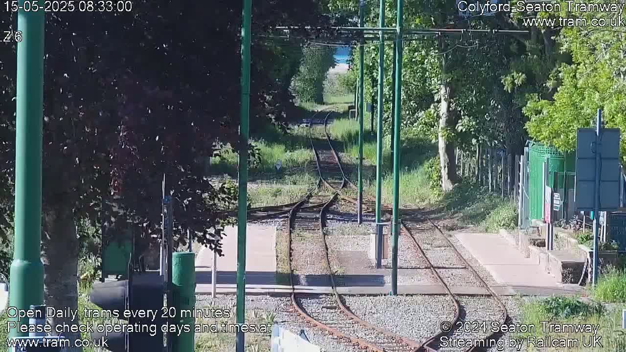 A sunny view of a train track splitting into two paths, surrounded by green trees and vegetation.