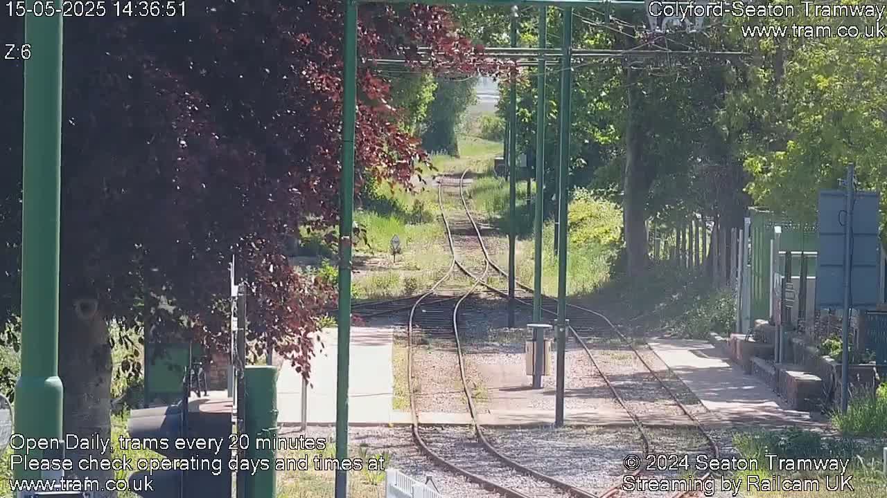 A sunny view of a tram railway track splitting into two paths, surrounded by green vegetation.
