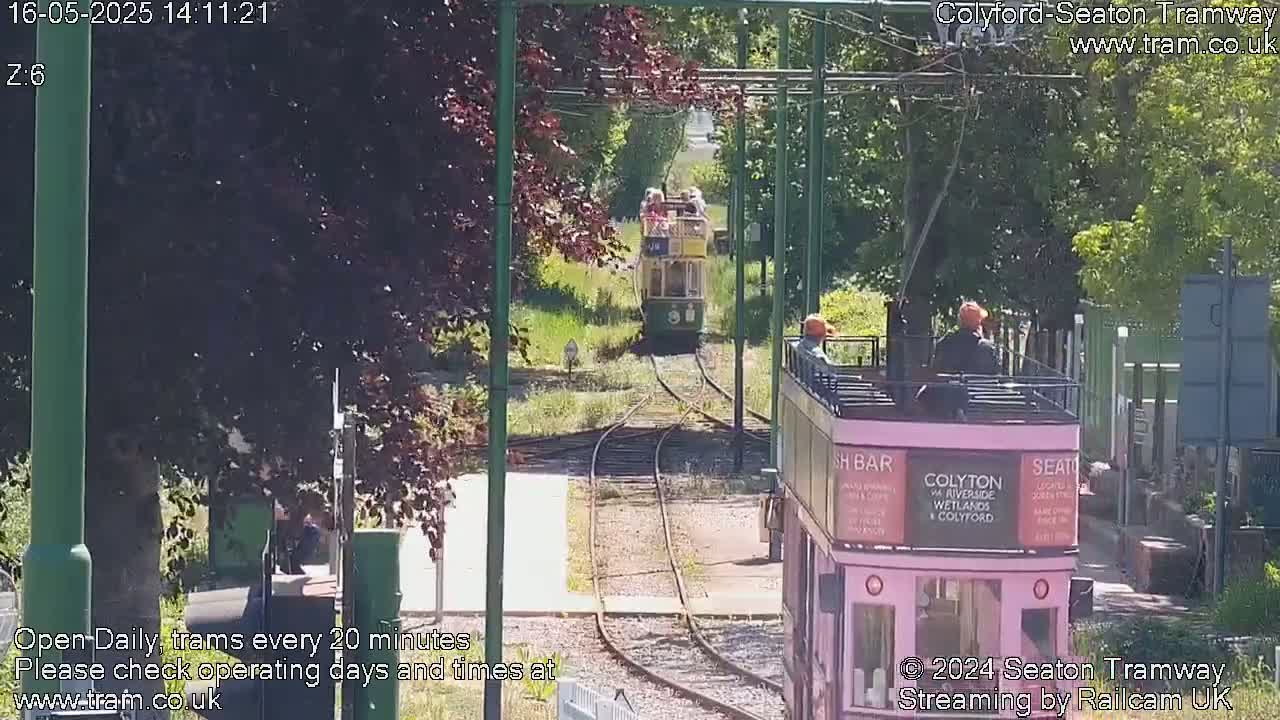 Two trams are on a track on a sunny day, surrounded by trees and greenery.