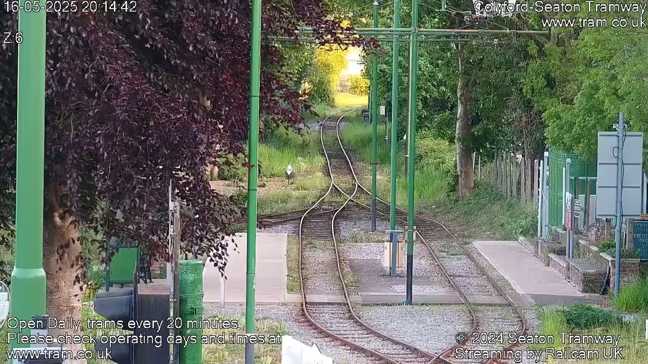 Tram tracks diverge through a grassy area bordered by trees in soft evening light.
