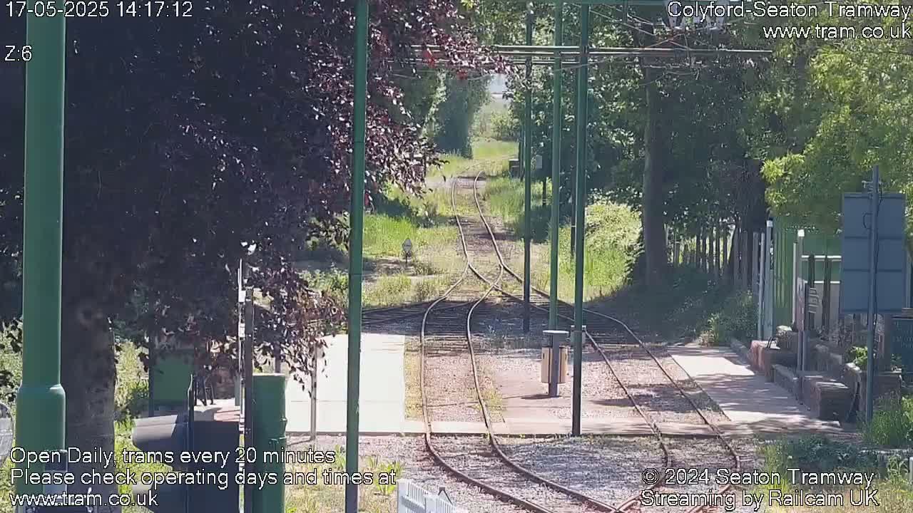 A sunny view of a tram line splitting into two tracks, surrounded by green trees and vegetation.