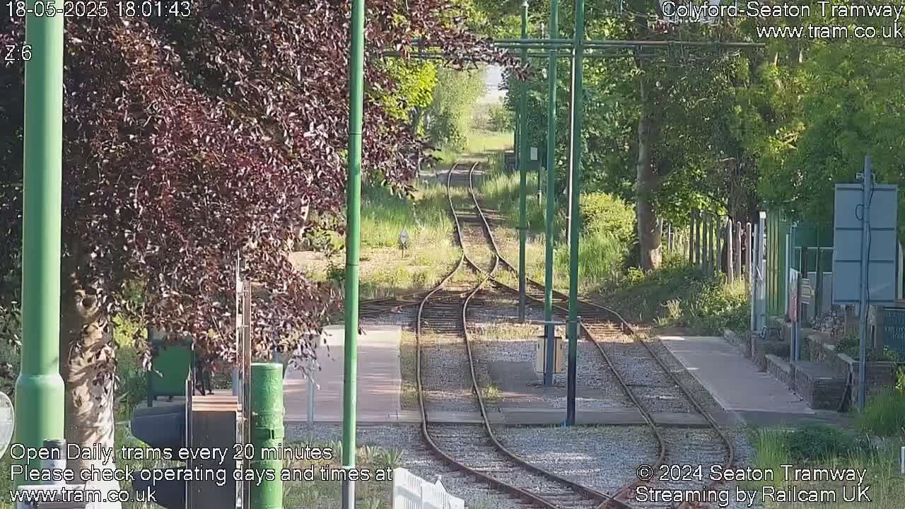 A sunny view of a train track splitting into two directions, surrounded by green vegetation and trees.