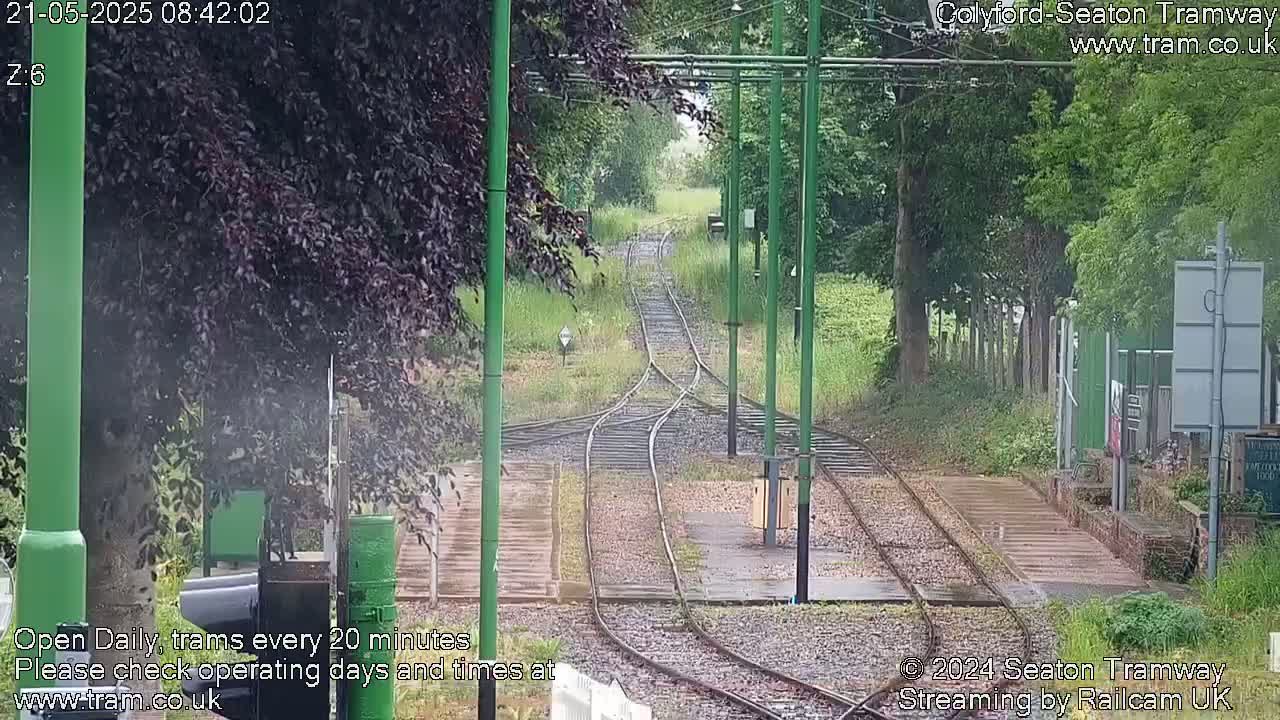 Tram tracks diverge in a grassy area, under a light rain.