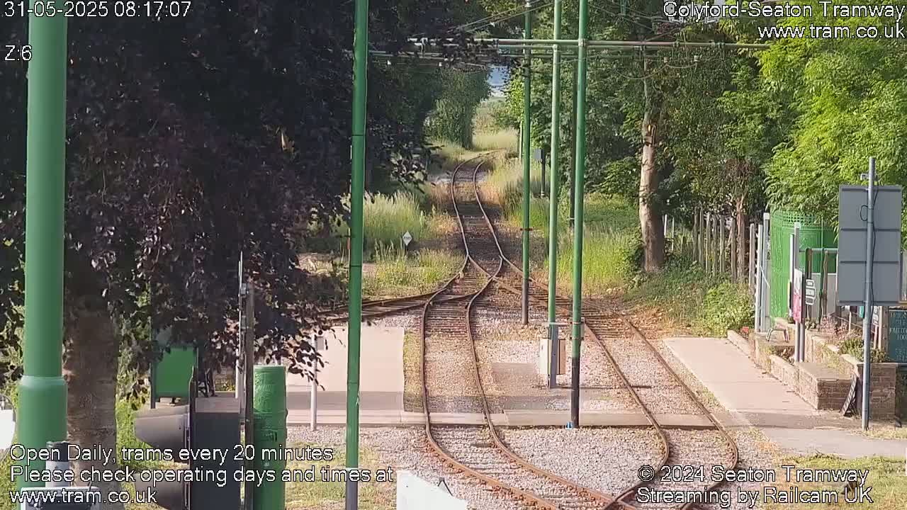A sunny day at a train track intersection, where two sets of train tracks diverge amidst lush green vegetation.