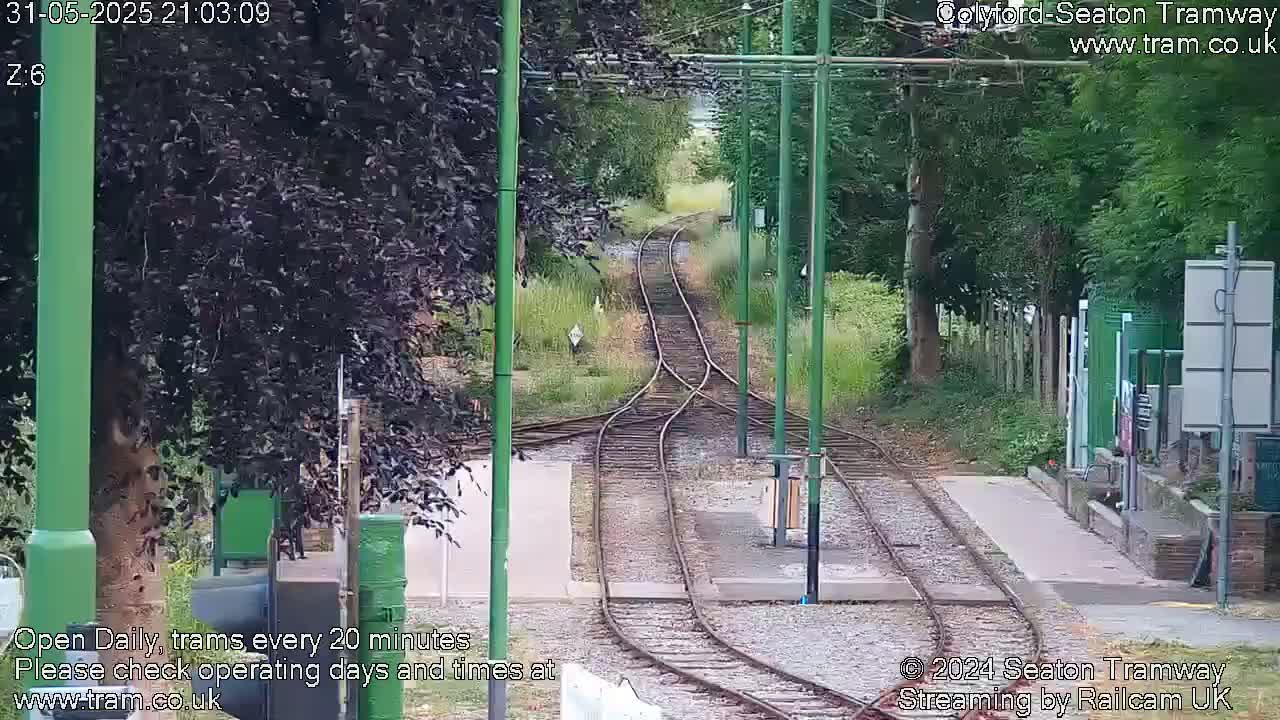 A view down a split set of train tracks in daylight, surrounded by green trees and vegetation.