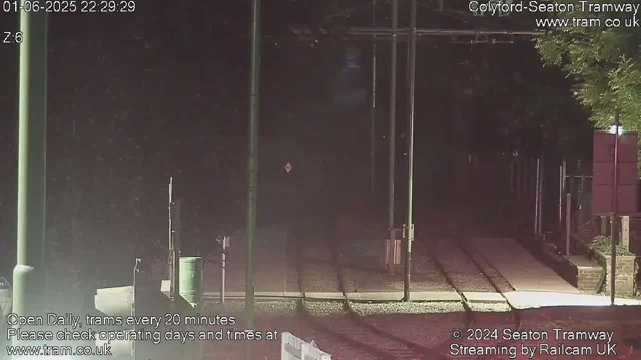 A nighttime view of empty tram tracks, surrounded by dark foliage and illuminated by a single lamppost.
