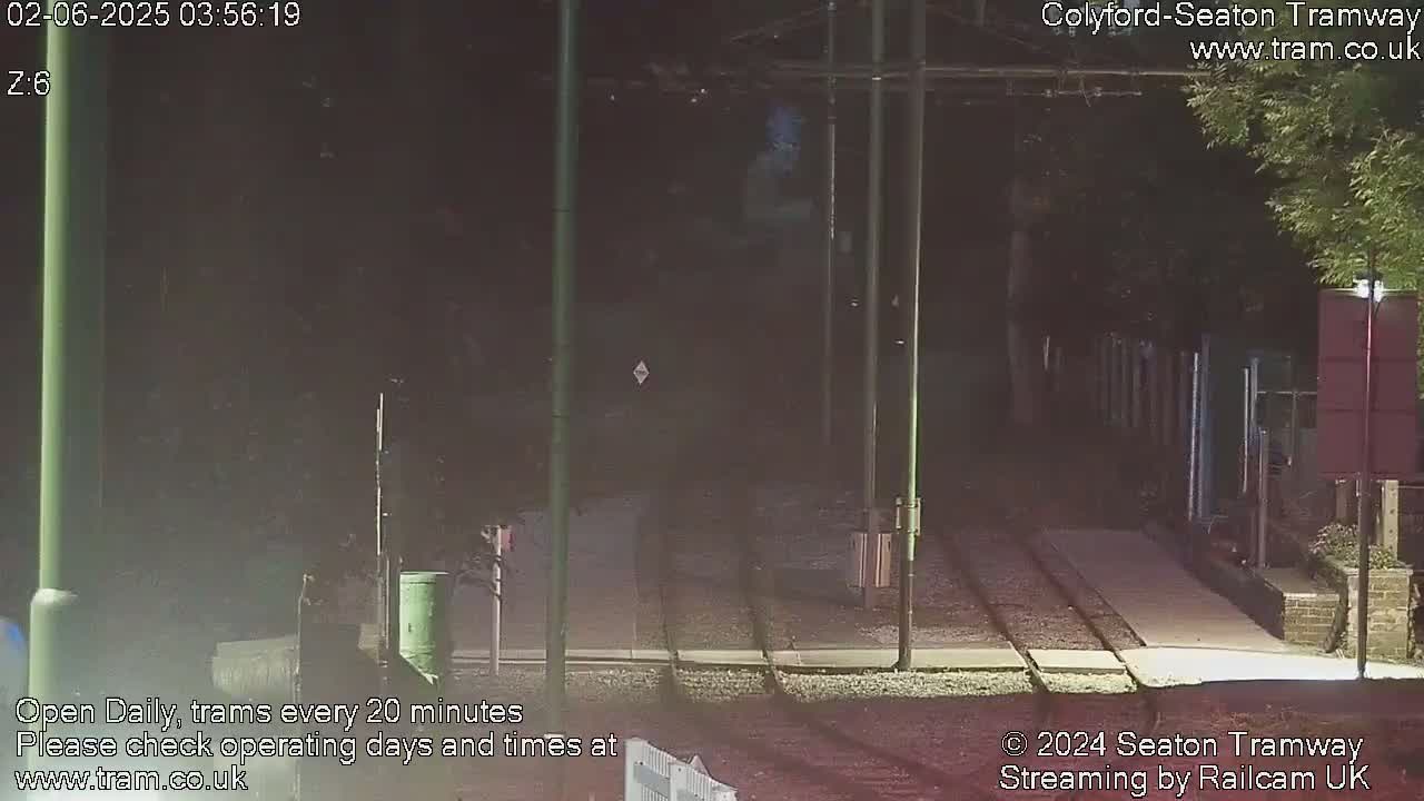 A nighttime view of a tram track, illuminated by lights, with dark vegetation on either side.