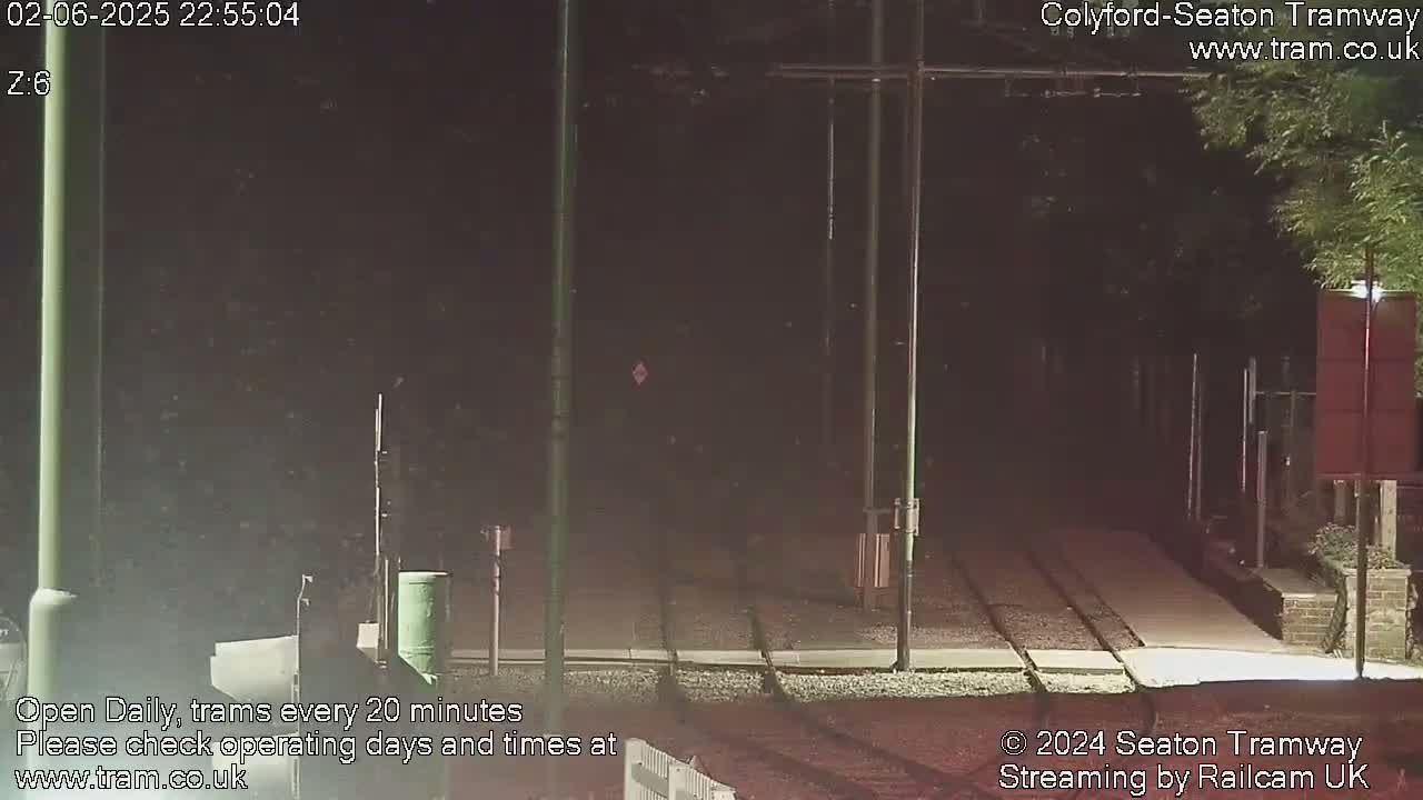 A nighttime view of empty tram tracks, surrounded by dark foliage and illuminated by artificial light.