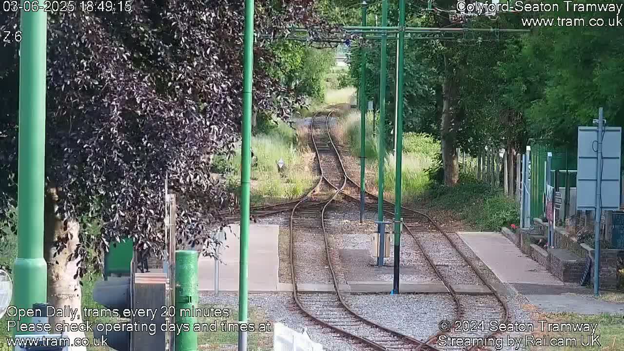 Tram tracks diverge in a grassy area bordered by trees on a sunny day.