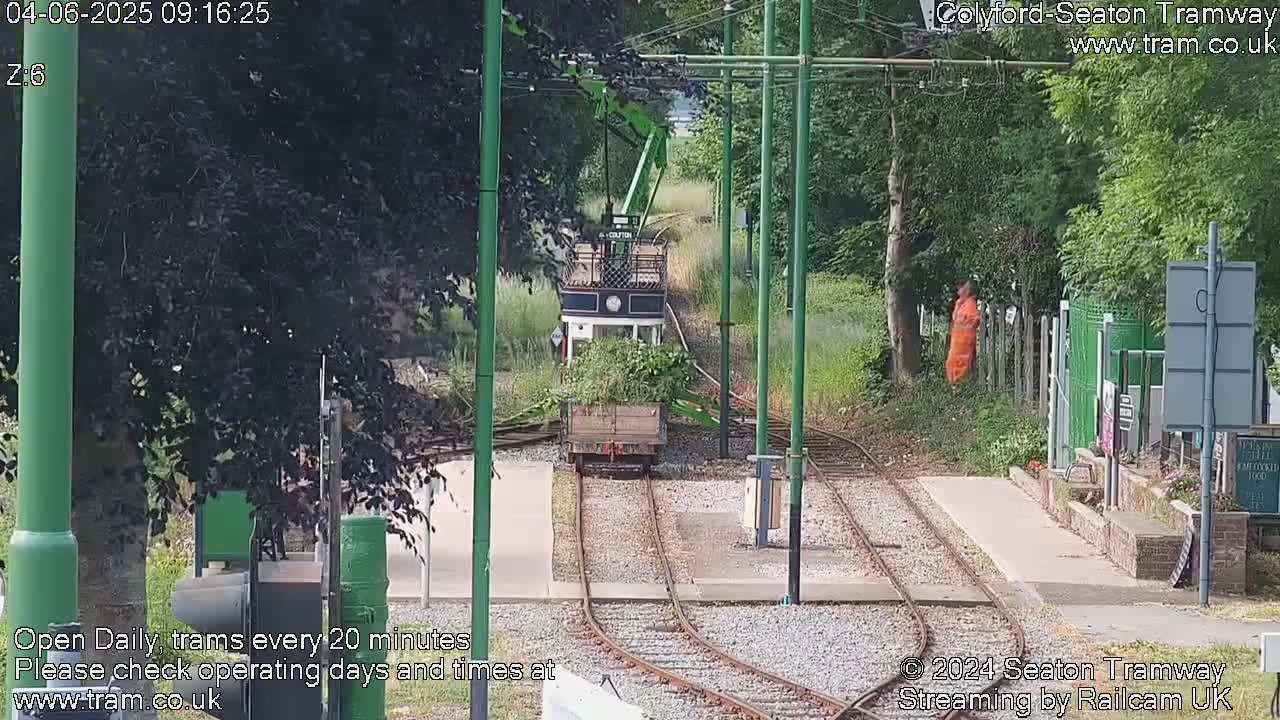 A tram carrying a load of greenery is approaching a station on a sunny day.
