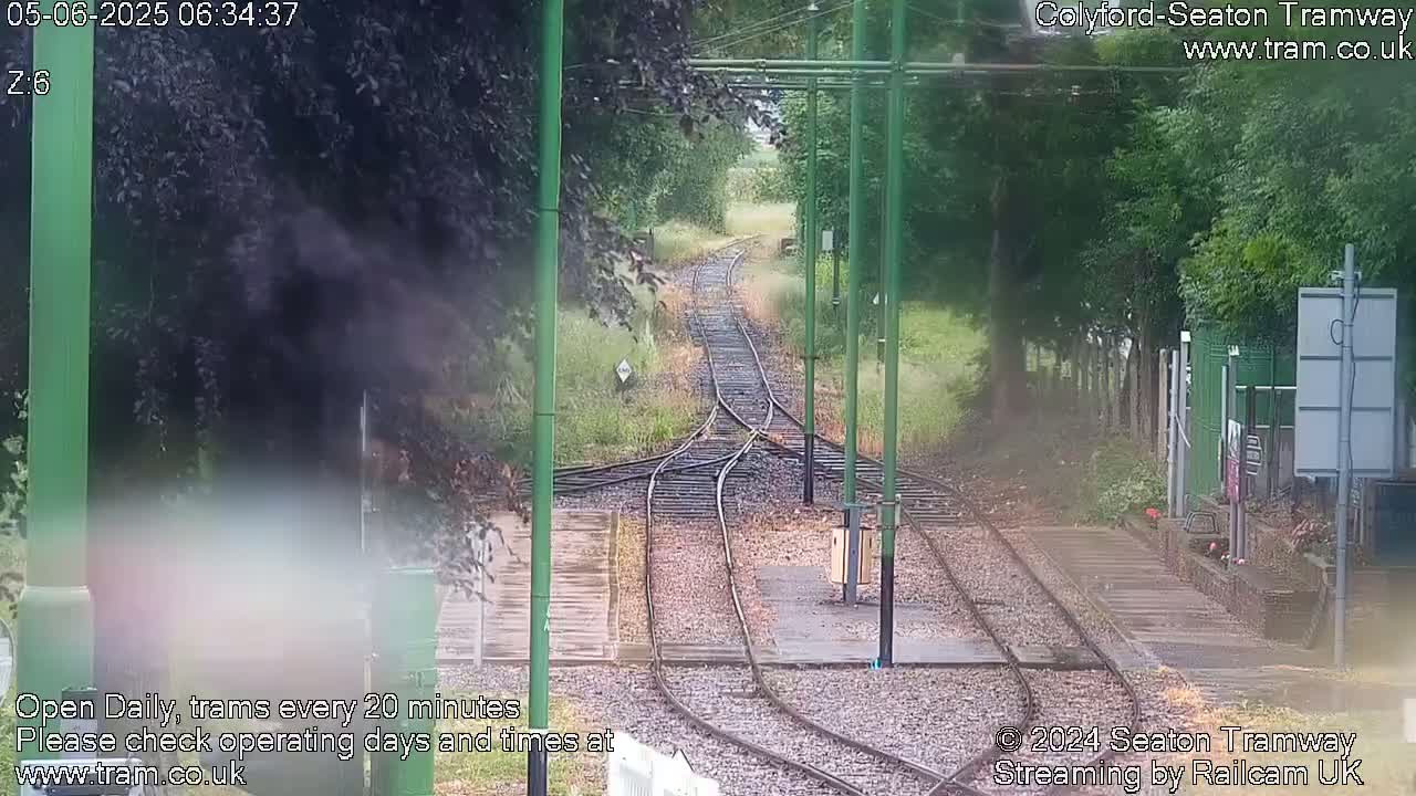 Tram tracks diverge into a switch point in a lightly wooded area on a wet day.