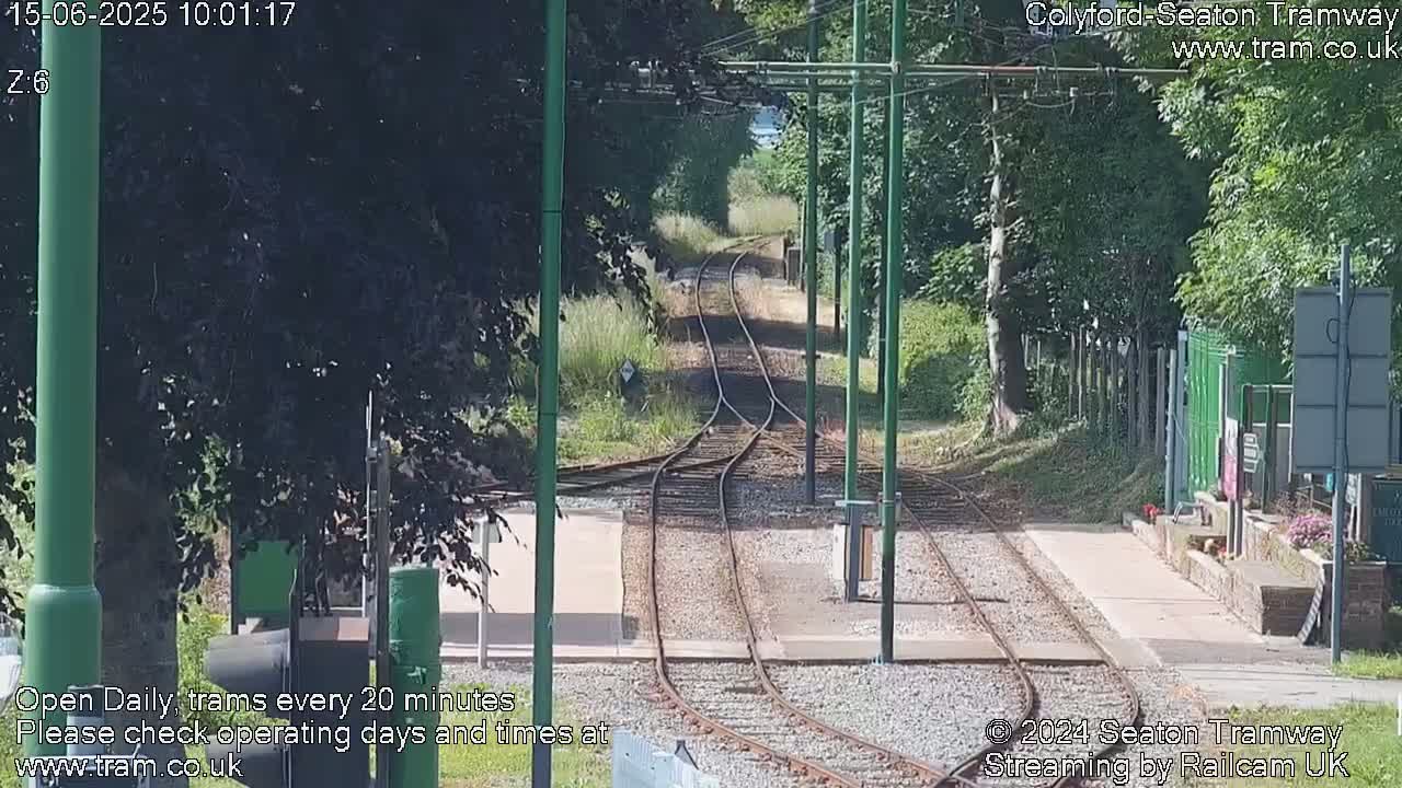 A sunny view of train tracks splitting into two directions, surrounded by lush green trees and vegetation.