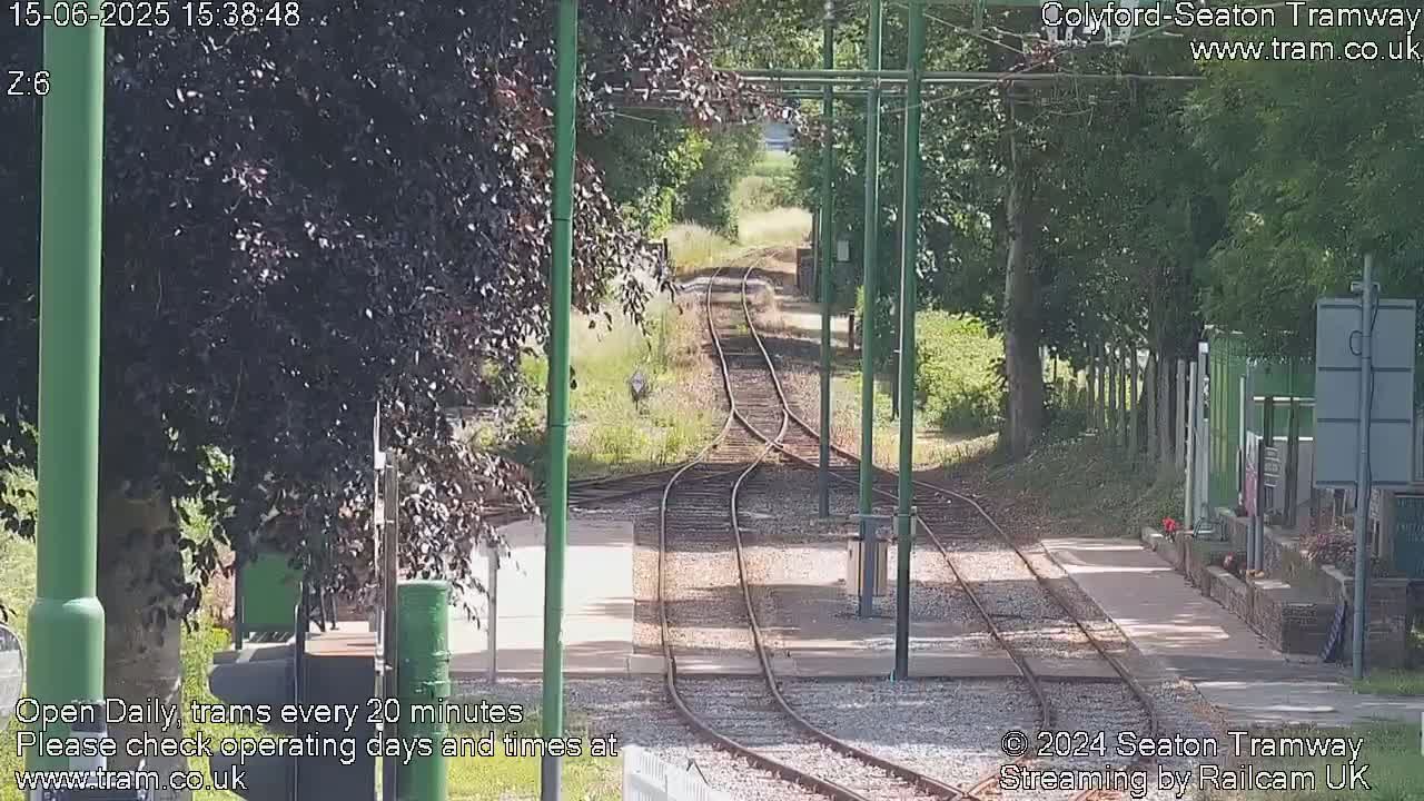A sunny view of a train track splitting into two, surrounded by lush green trees and vegetation.