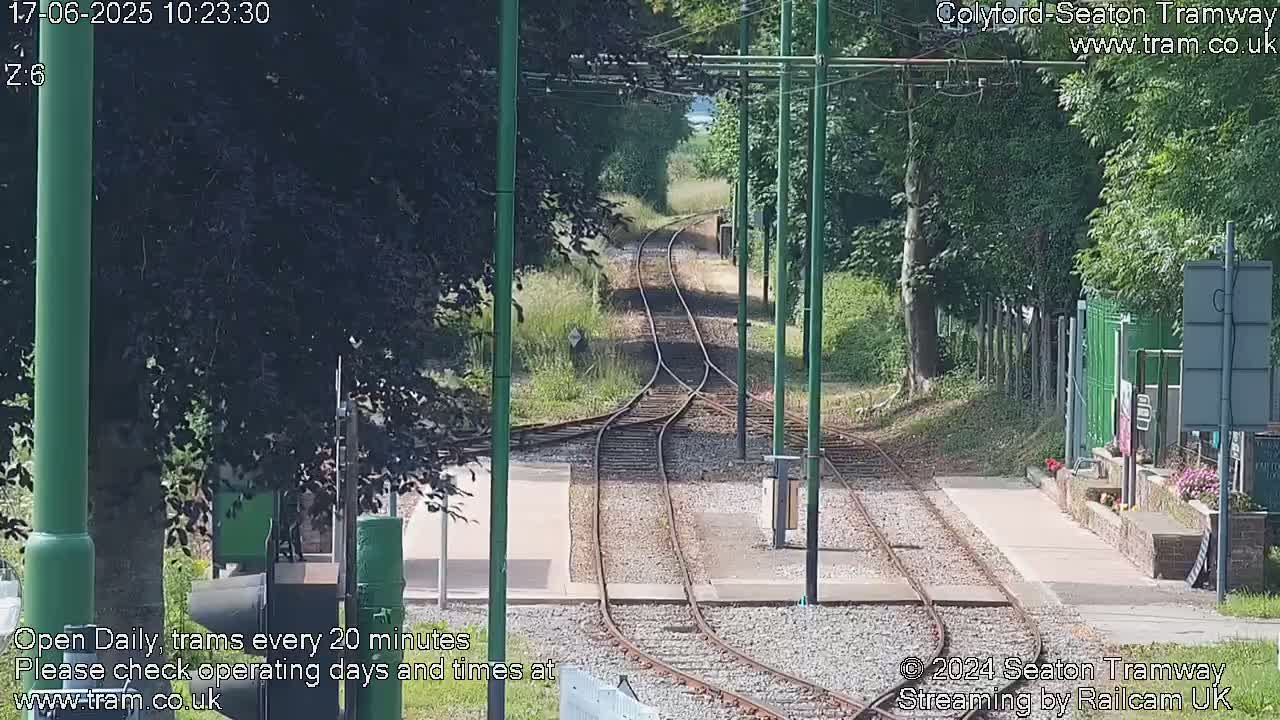 A sunny view of a railway track splitting into two directions, surrounded by green trees and bushes.