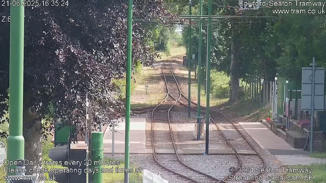 A sunny view of train tracks splitting into multiple paths, surrounded by lush green trees and vegetation.