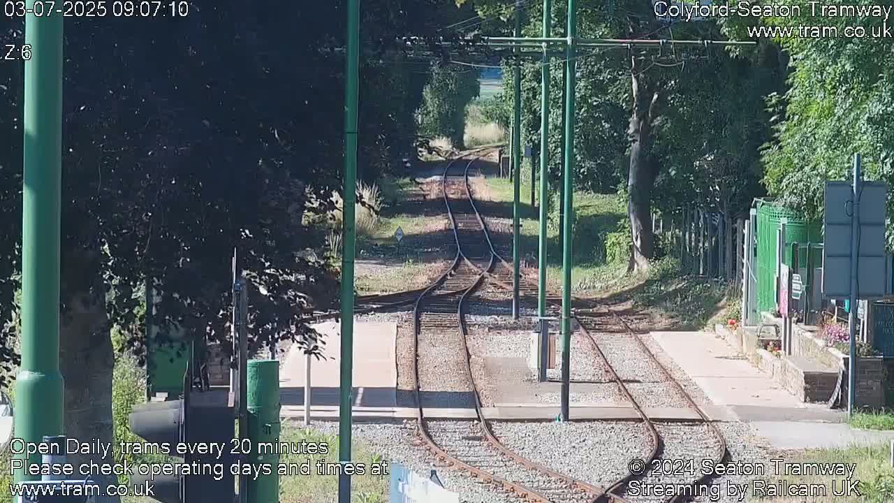 A sunny view of a railway track splitting into two, surrounded by green trees and vegetation.