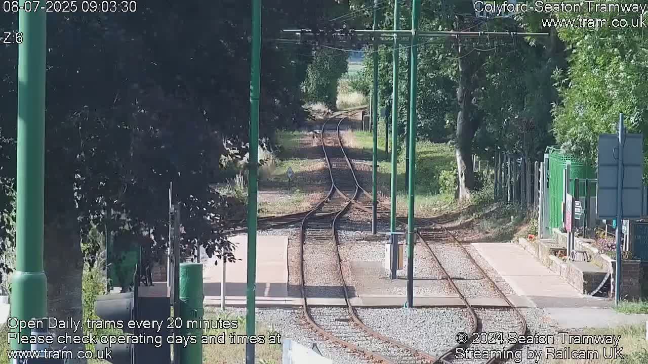 A sunny view of a railway track splitting into two, surrounded by trees and vegetation.