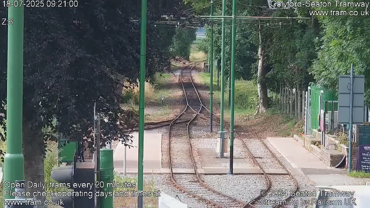 A sunny view of a railway track splitting into two, surrounded by green trees and vegetation.