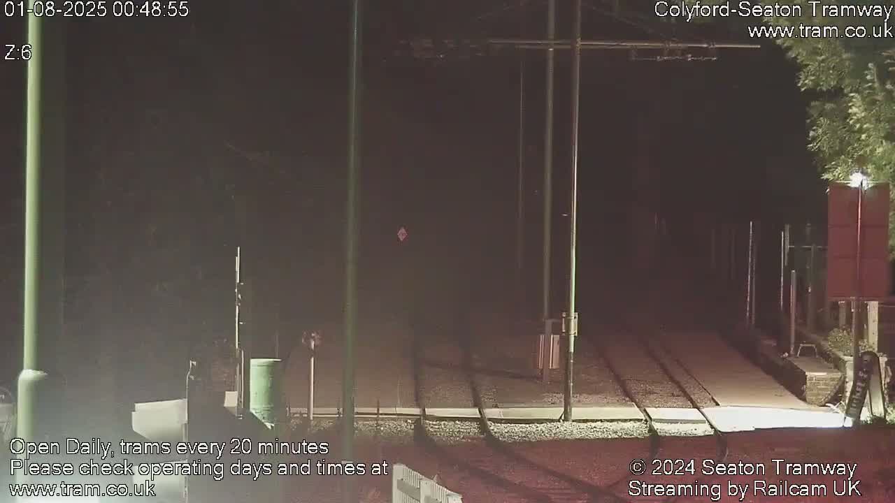 A nighttime view of empty tram tracks, with tall poles and sparse vegetation visible in the darkness.