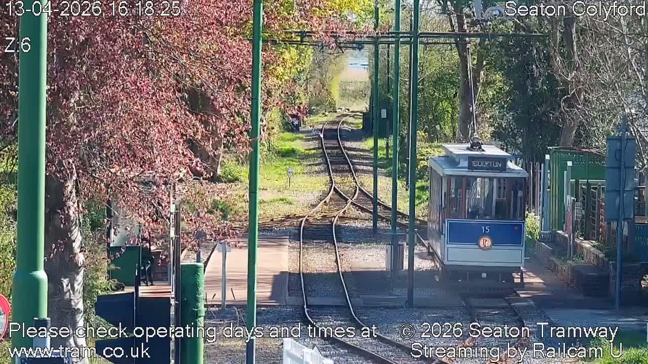 An outdoor scene depicts a tramway junction with multiple tracks diverging amidst green overhead line poles and trees with mostly bare branches and scattered autumn leaves, under a calm, overcast sky, with a faint plume of smoke rising from the distant tracks.