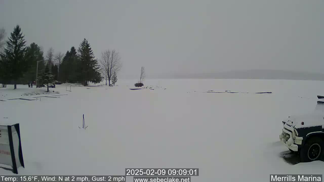 A snow-covered marina with a few evergreen trees and a partially visible vehicle is seen in the hazy, snowy weather.