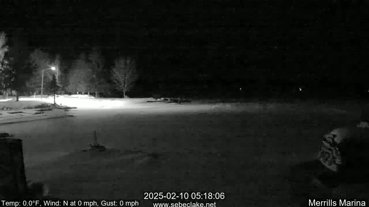 A snow-covered, nighttime scene shows a dimly lit parking lot with trees and a single lamppost.