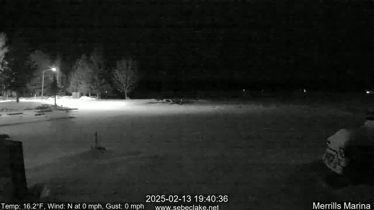 A nighttime, snow-covered parking lot is illuminated by a single streetlight, with some trees and a vehicle visible in the dark.