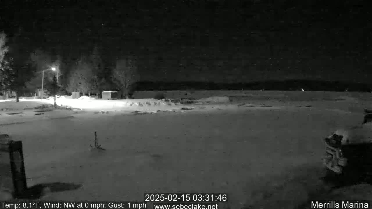 A snow-covered nighttime scene shows a sparsely populated area with a single lit streetlamp, a few trees, and a vehicle partially visible in the lower right corner under a dark sky.