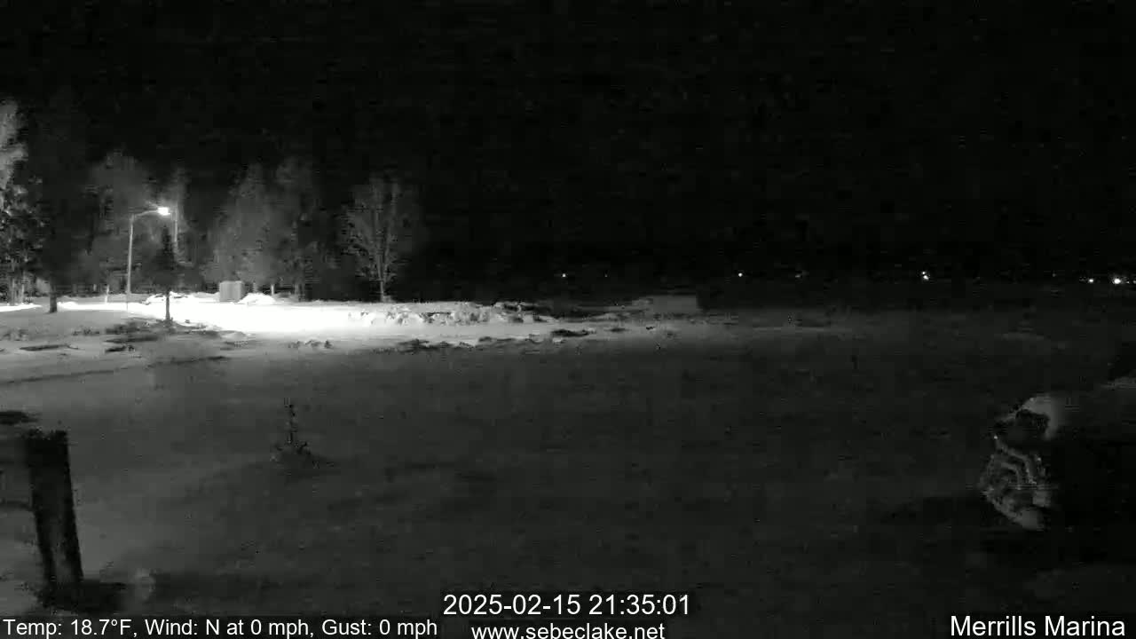 A snow-covered, dark nighttime scene shows a few trees and a streetlight illuminating a mostly empty parking lot.