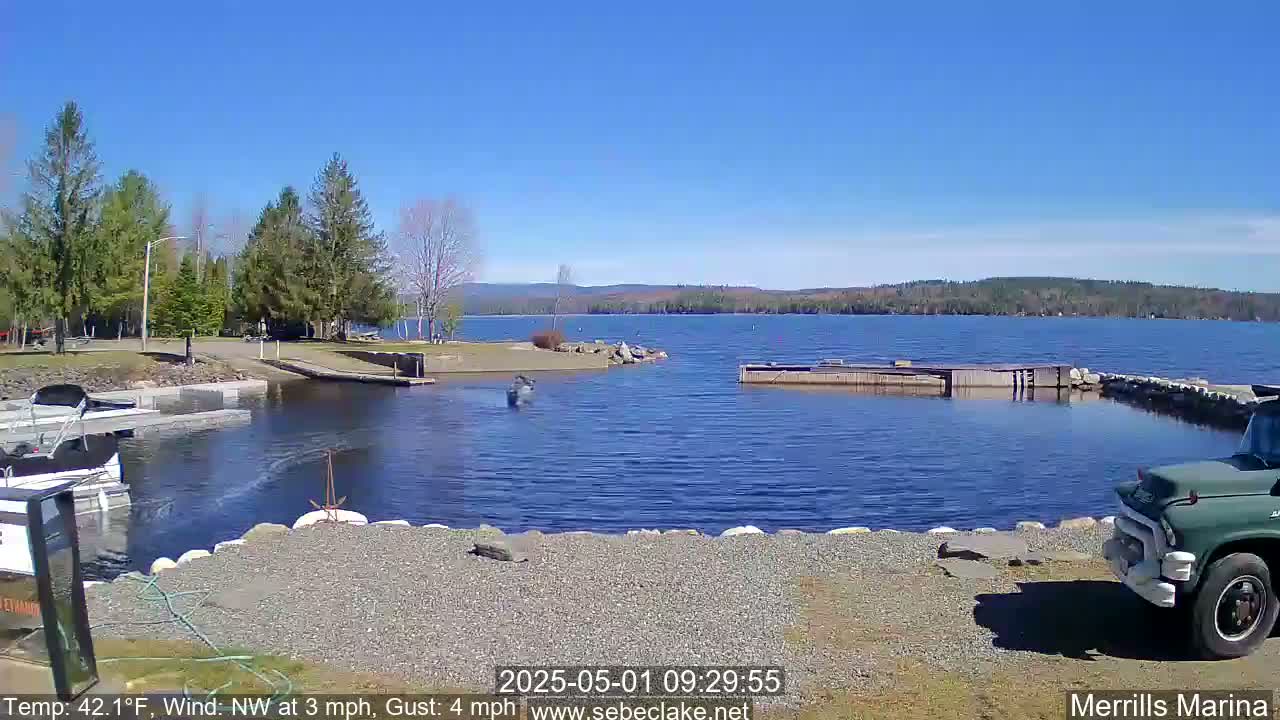 A sunny day at a marina on a lake, with boats docked and a person in the water, surrounded by trees and a calm lake.
