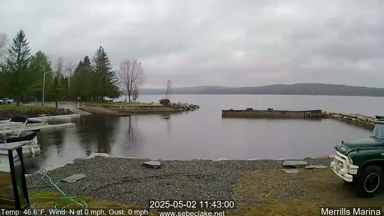 A calm, overcast day reveals a marina on a lake surrounded by trees and a dark-green truck parked nearby.