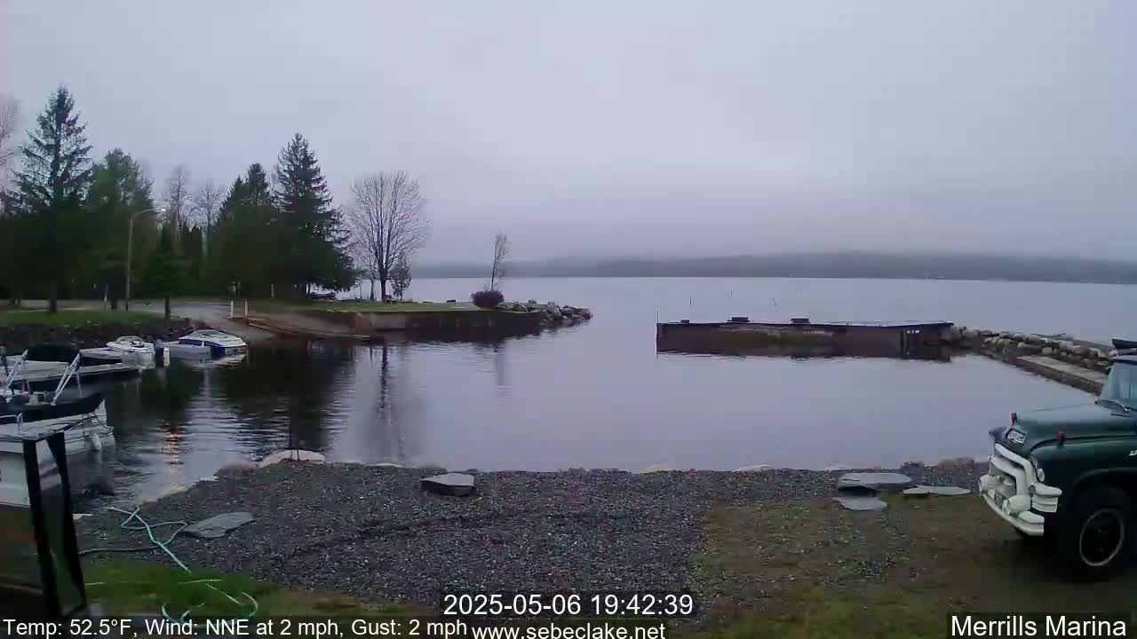 Several boats are moored at a marina on a calm, foggy lake under an overcast sky.