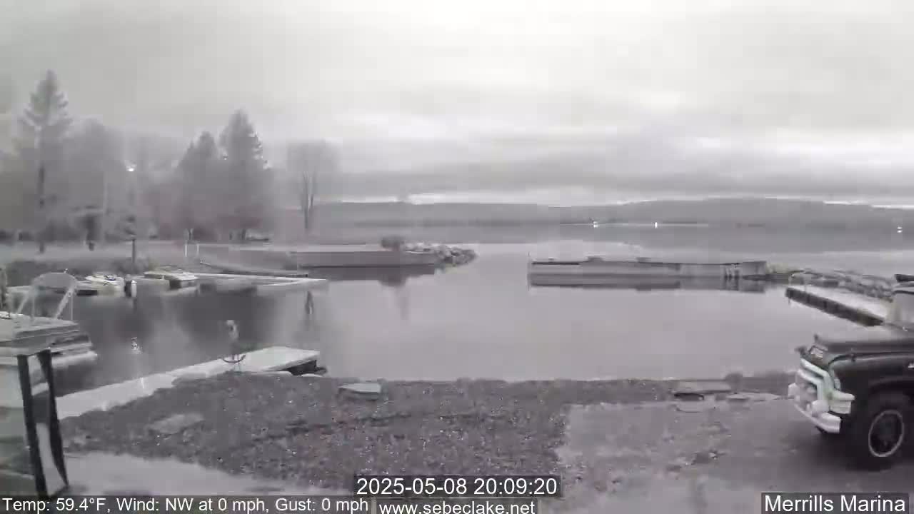 A calm, overcast day shows a marina with boats docked, a body of water, and a truck parked near the shore.