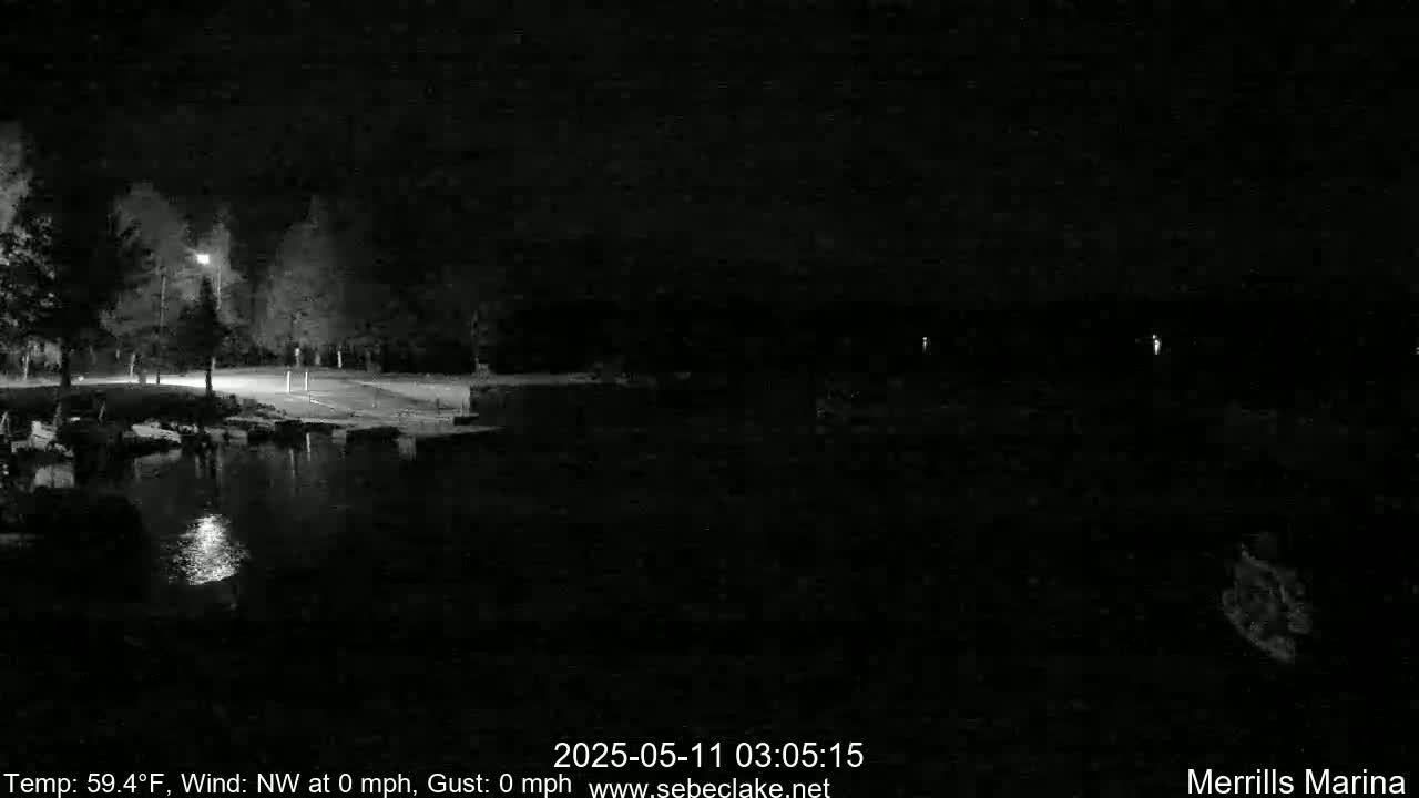 A nighttime, low-light image shows a dark body of water reflecting light from a nearby shore with trees and a paved area.